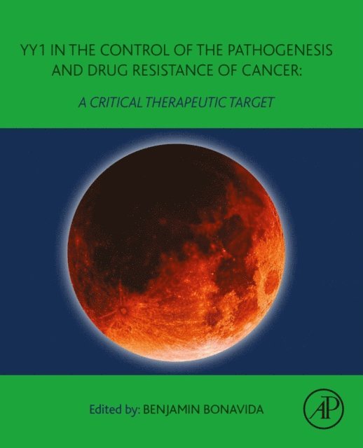 Benjamin Bonavida - YY1 in the Control of the Pathogenesis and Drug Resistance of Cancer, E-bok