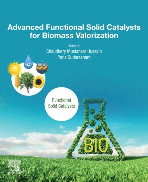 Putla Sudarsanam, Chaudhery Mustansar Hussain - Advanced Functional Solid Catalysts for Biomass Valorization, E-bok