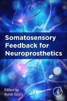 Somatosensory Feedback for Neuroprosthetics