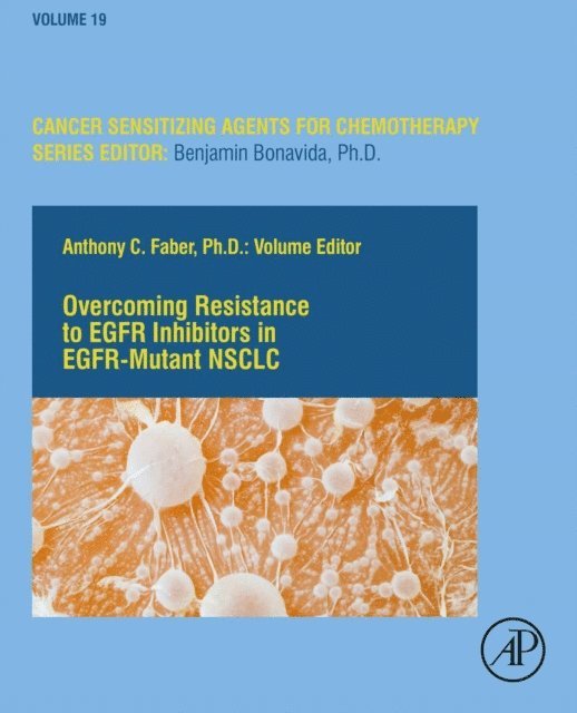 Anthony Faber - Overcoming Resistance to EGFR Inhibitors in EGFR-Mutant NSCLC, E-bok