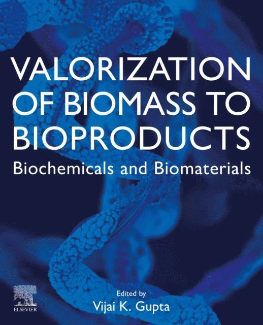 Vijai Kumar Gupta - Valorization of Biomass to Bioproducts, E-bok