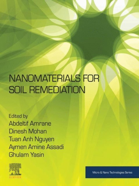 Tuan Anh Nguyen, Ghulam Yasin, Aymen Amine Assadi, Dinesh Mohan, Abdeltif Amrane - Nanomaterials for Soil Remediation, E-bok