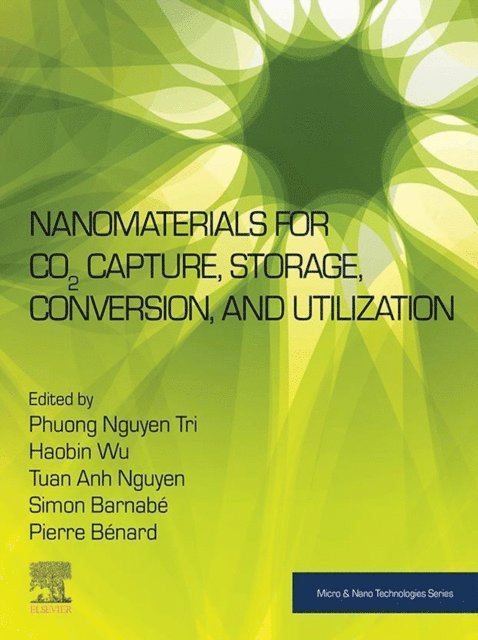 Tuan Anh Nguyen, Pierre Benard, Simon Barnabe, Haobin Wu, Phuong Nguyen-Tri - Nanomaterials for CO2 Capture, Storage, Conversion and Utilization, E-bok