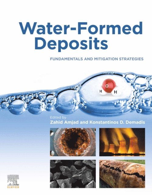 Konstantinos D. Demadis, Zahid Amjad - Water-Formed Deposits, E-bok. Tillgänglighet: Lägg i varukorg