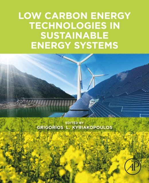 Grigorios L. Kyriakopoulos - Low Carbon Energy Technologies in Sustainable Energy Systems, E-bok