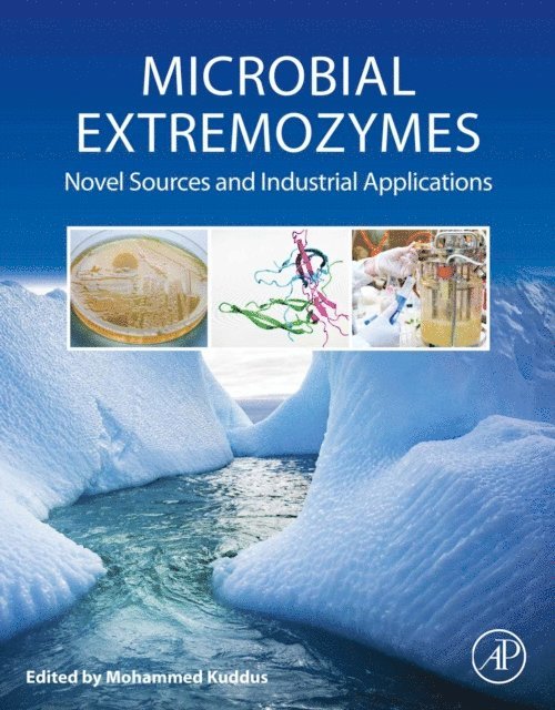 Mohammed Kuddus - Microbial Extremozymes, E-bok