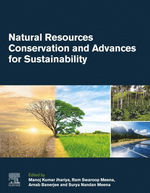 Surya Nandan Meena, Arnab Banerjee, Ram Swaroop Meena, Manoj Kumar Jhariya - Natural Resources Conservation and Advances for Sustainability, E-bok
