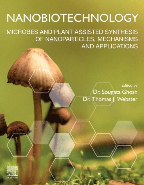 Thomas J Webster, Sougata Ghosh - Nanobiotechnology, E-bok