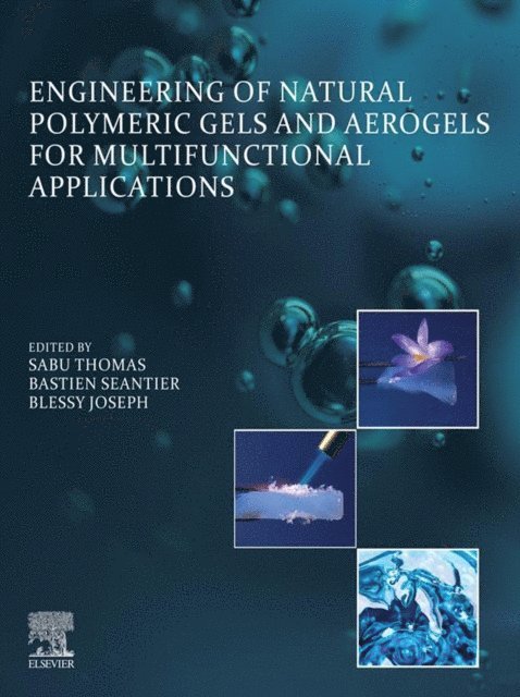 Blessy Joseph, Bastien Seantier, Sabu Thomas - Engineering of Natural Polymeric Gels and Aerogels for Multifunctional  Applications, E-bok