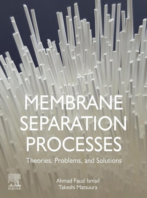 Takeshi Matsuura, Ahmad Fauzi Ismail - Membrane Separation Processes, E-bok
