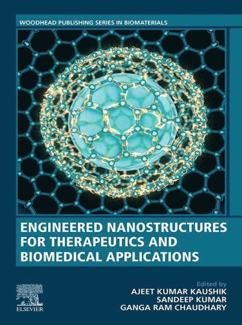 Ganga Ram Chaudhary, Sandeep Kumar, Ajeet K. Kaushik - Engineered Nanostructures for Therapeutics and Biomedical Applications, E-bok