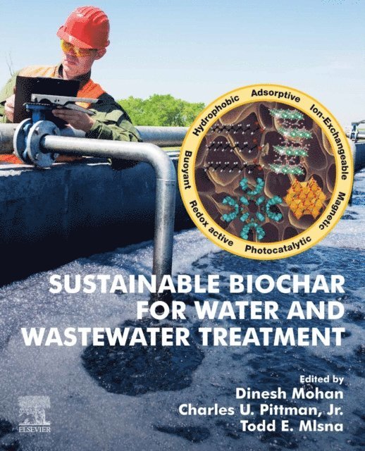 Todd E. Mlsna, Charles Pittman Jr., Dinesh Mohan - Sustainable Biochar for Water and Wastewater Treatment, E-bok