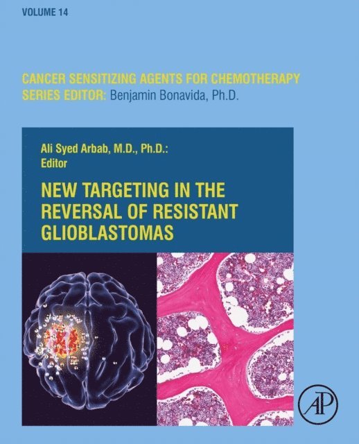Ali Syed Arbab - New Targeting in The Reversal of Resistant Glioblastomas, E-bok