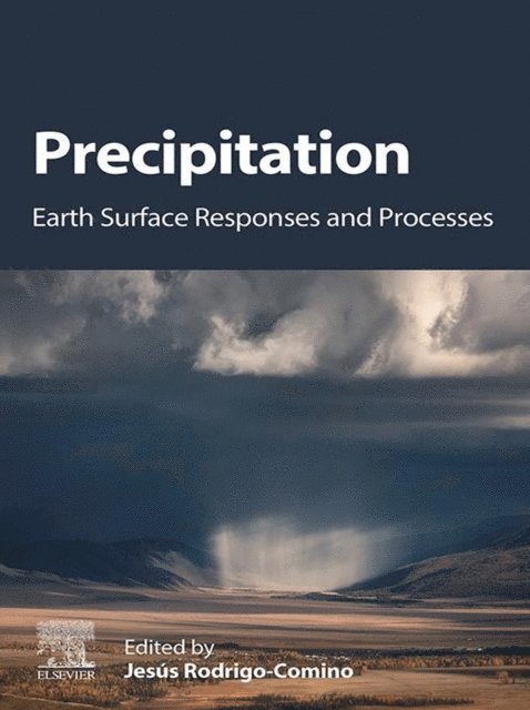 Jesus Rodrigo Comino - Precipitation, E-bok