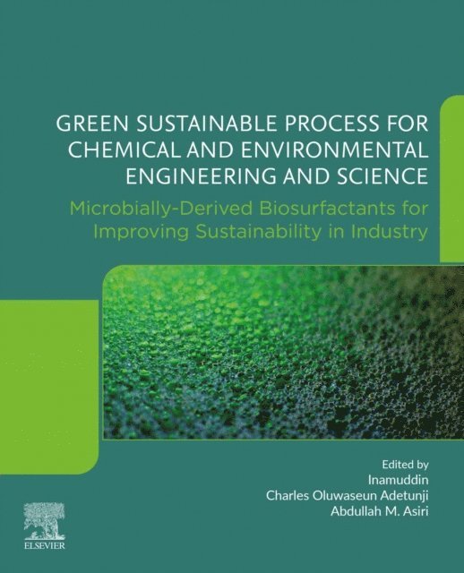 Abdullah M. Asiri, Charles Oluwaseun Adetunji, Inamuddin - Green Sustainable Process for Chemical and Environmental Engineering and Science, E-bok