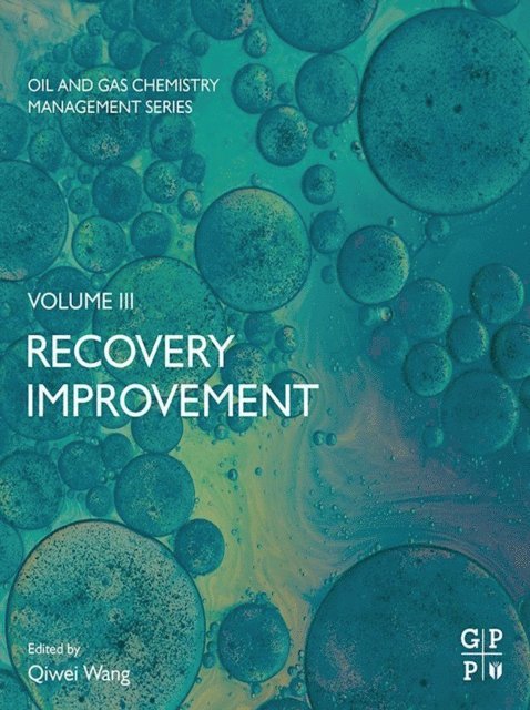 Qiwei Wang - Recovery Improvement, E-bok
