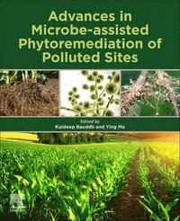 Advances in Microbe-assisted Phytoremediation of Polluted Sites