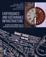 Giuliano Panza, Vladimir G. Kossobokov, Efraim Laor, Benedetto DeVivo - Earthquakes and Sustainable Infrastructure, Häftad