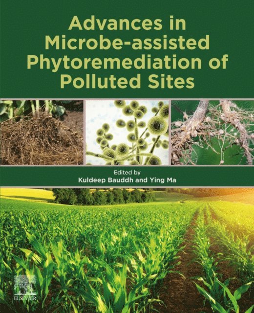 Ying Ma, Kuldeep Bauddh - Advances in Microbe-assisted Phytoremediation of Polluted Sites, E-bok