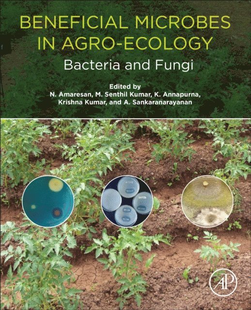 A. Sankaranarayanan, Krishna Kumar, K. Annapurna, M. Senthil Kumar, N. Amaresan - Beneficial Microbes in Agro-Ecology, E-bok
