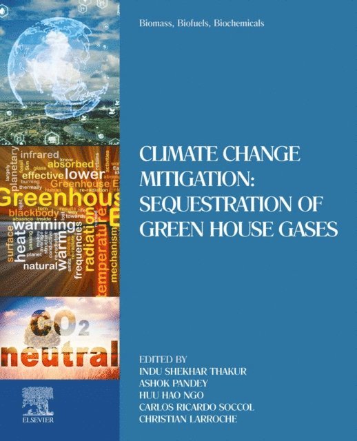 Christian Larroche, Carlos Ricardo Soccol, Huu Hao Ngo, Ashok Pandey, Indu Shekhar Thakur - Biomass, Biofuels, Biochemicals, E-bok