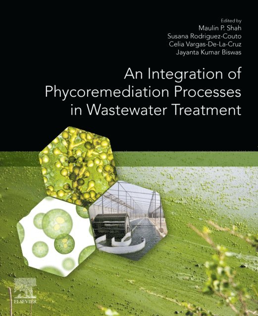 Jayanta Kumar Biswas, Celia Bertha Vargas De La Cruz, Susana Rodriguez-Couto, Maulin P. Shah - Integration of Phycoremediation Processes in Wastewater Treatment, E-bok