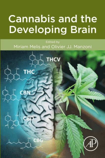 Olivier J. Manzoni, Miriam Melis - Cannabis and the Developing Brain, E-bok