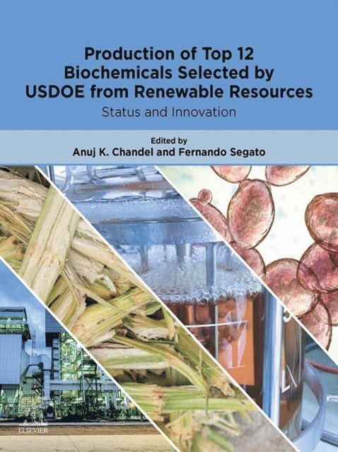 Fernando Segato, Anuj K. Chandel - Production of Top 12 Biochemicals Selected by USDOE from Renewable Resources, E-bok