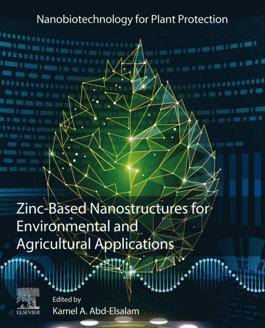 Kamel A. Abd-Elsalam - Zinc-Based Nanostructures for Environmental and Agricultural Applications, E-bok