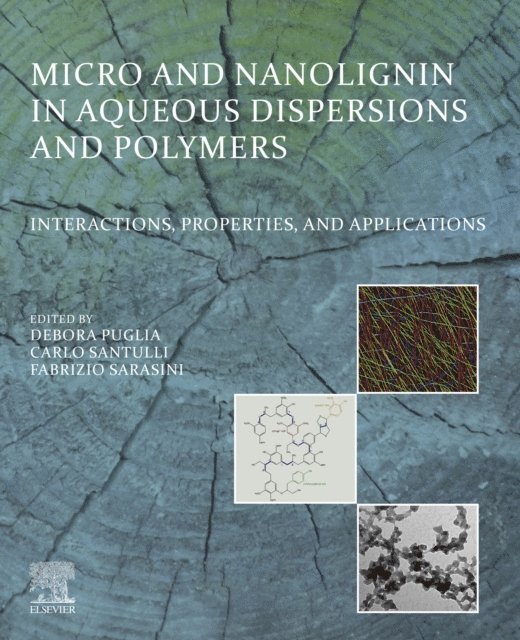 Fabrizio Sarasini, Carlo Santulli, Debora Puglia - Micro and Nanolignin in Aqueous Dispersions and Polymers, E-bok