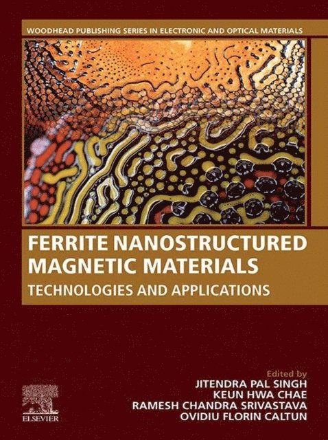 Ovidiu Florin Caltun, Ramesh Chandra Srivastava, Keun Hwa Chae, Jitendra Pal Singh - Ferrite Nanostructured Magnetic Materials, E-bok