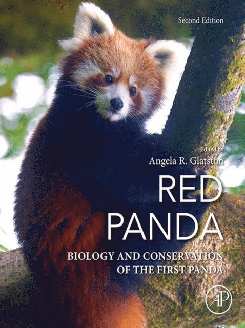 Angela R. Glatston - Red Panda, E-bok. Tillgänglighet: Lägg i varukorg