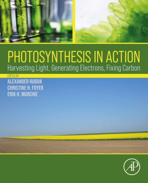Erik Murchie, Christine Foyer, Alexander Ruban - Photosynthesis in Action, E-bok