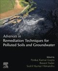 Advances in Remediation Techniques for Polluted Soils and Groundwater