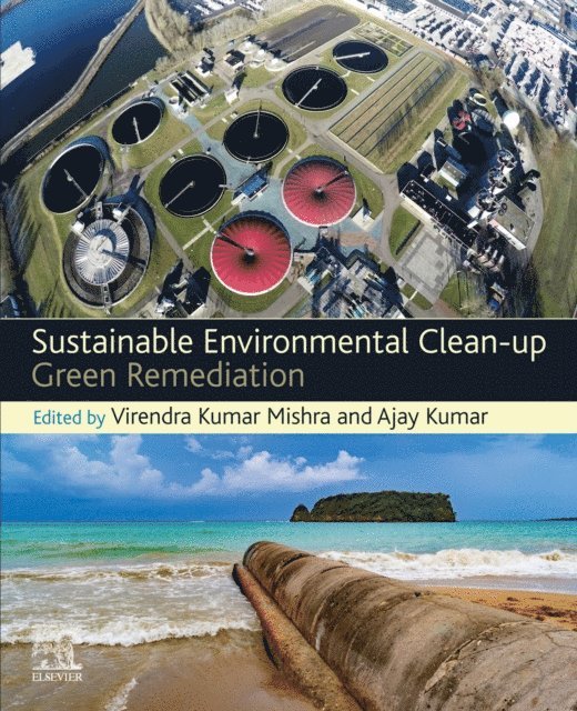 Ajay Kumar, Virendra Kumar Mishra - Sustainable Environmental Clean-up, E-bok