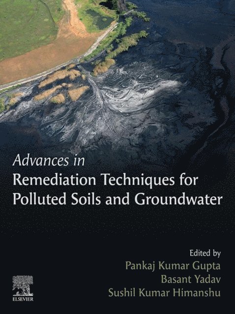 Sushil Kumar Himanshu, Basant Yadav, Pankaj Kumar Gupta - Advances in Remediation Techniques for Polluted Soils and Groundwater, E-bok