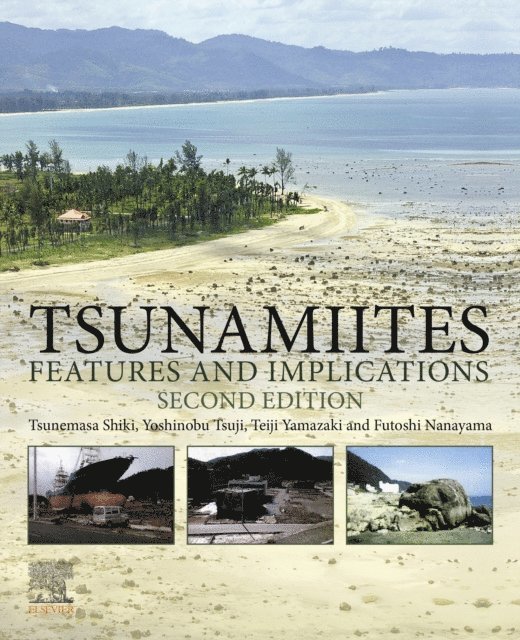 Futoshi Nanayama, Teiji Yamazaki, Yoshinobu Tsuji, Tsunemasa Shiki - Tsunamiites, E-bok