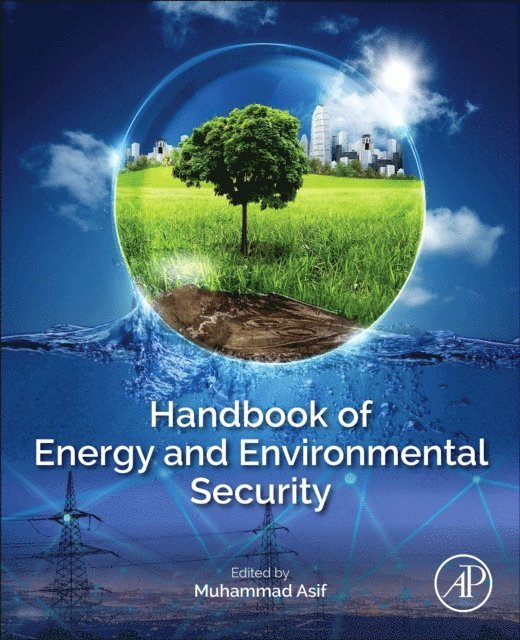 Muhammad Asif - Handbook of Energy and Environmental Security, E-bok
