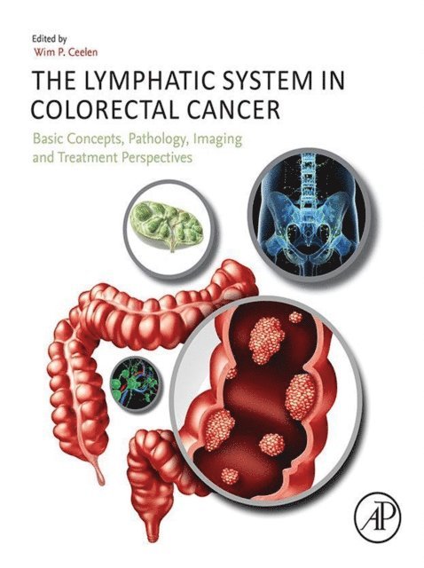 Wim Ceelen - Lymphatic System in Colorectal Cancer, E-bok