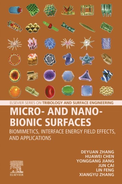 Jun Cai, Lin Feng, Xiangyu Zhang, Huawei Chen, Yonggang Jiang, Deyuan Zhang - Micro- and Nano-Bionic Surfaces, E-bok
