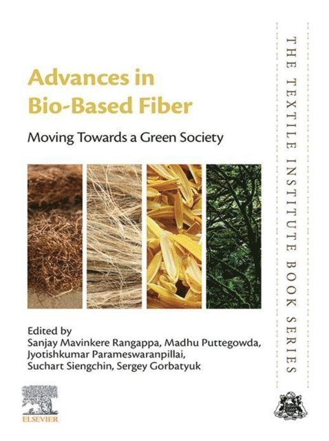 Sergey M. Gorbatyuk, Suchart Siengchin, Jyotishkumar Parameswaranpillai, Madhu Puttegowda, Sanjay Mavinkere Rangappa - Advances in Bio-Based Fiber, E-bok