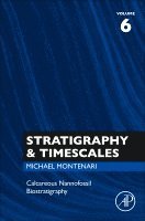 Michael Montenari - Calcareous Nannofossil Biostratigraphy, Inbunden