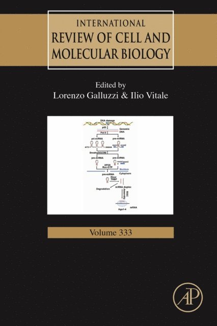 MiRNAs in Differentiation and Development, E-bok