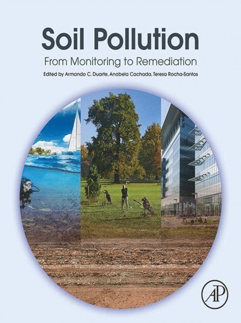 Teresa A.P. Rocha-Santos, Anabela Cachada, Armando C. Duarte - Soil Pollution, E-bok
