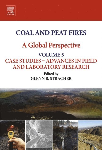 Glenn B. Stracher - Coal and Peat Fires: A Global Perspective, E-bok