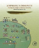 An-Long Xu - Amphioxus Immunity, Inbunden