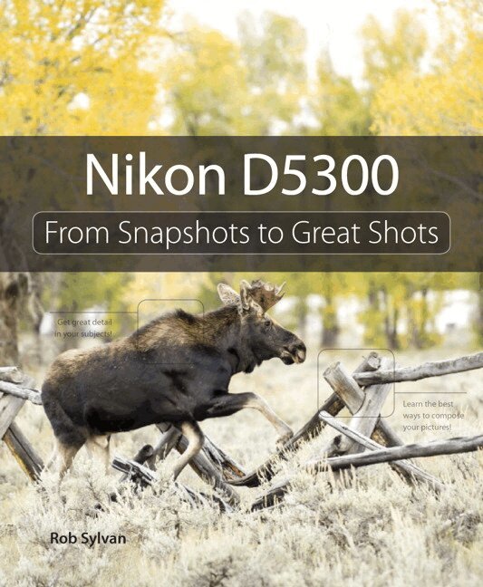 Rob Sylvan - Nikon D5300, Övrigt