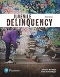Juvenile Delinquency (Justice Series)