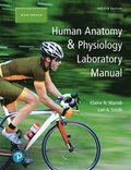 Human Anatomy & Physiology Laboratory Manual, Main Version