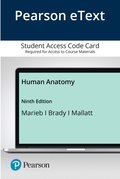 Human Anatomy
